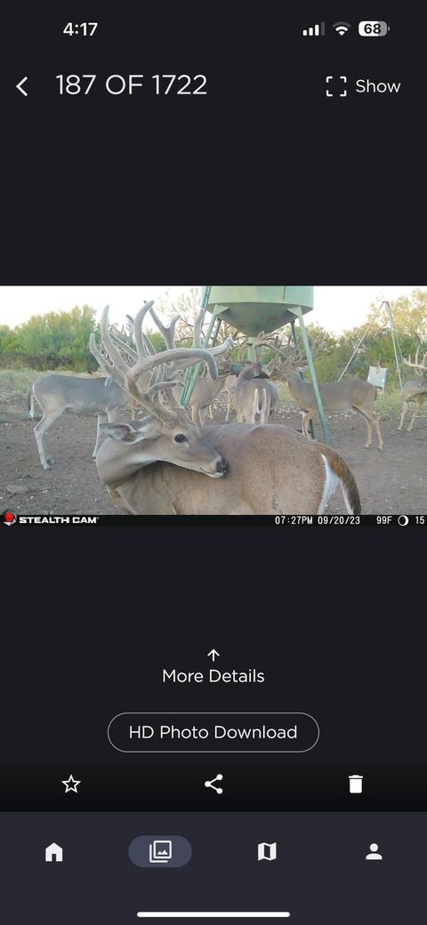 Bucks are looking great!!