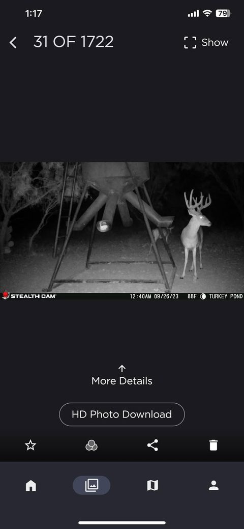 Bucks are looking great!!