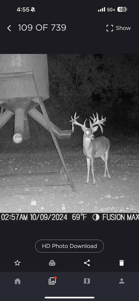 Bucks are looking awesome at the Ranch!