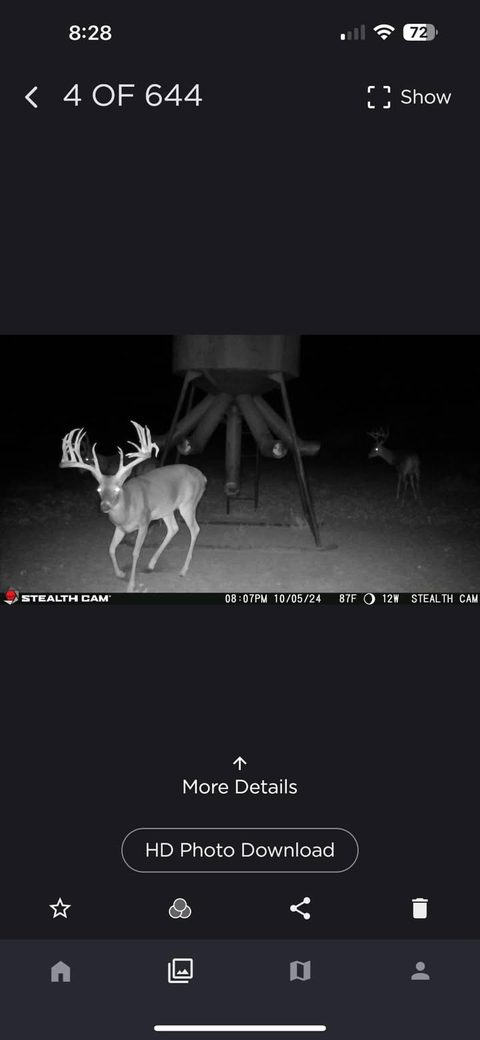 Bucks are looking awesome at the Ranch!