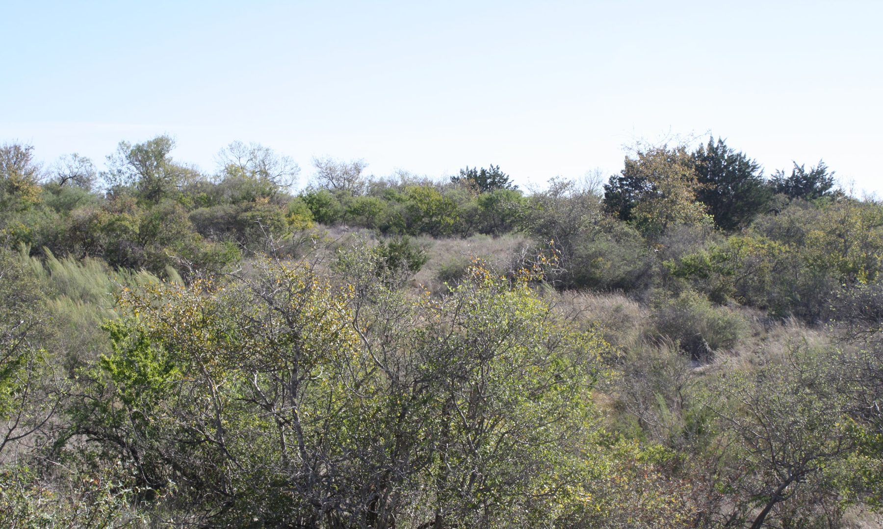 West side brush country